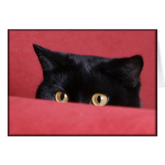 Peek-a-Boo Cards