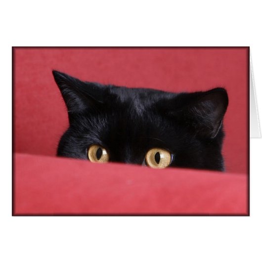 Peek-a-Boo Cards (Front Horizontal)