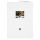 Peek-a-Boo Cards (Back)