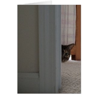 Peek A Boo! Cat card