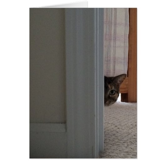 Peek A Boo! Cat card (Front)