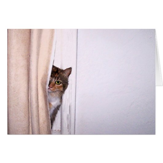 Peek-a-Boo Cat Cards (Front Horizontal)