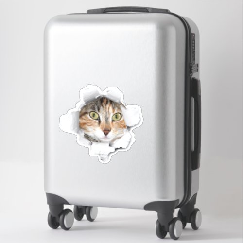 Peek a Boo Cat Luggage Sticker