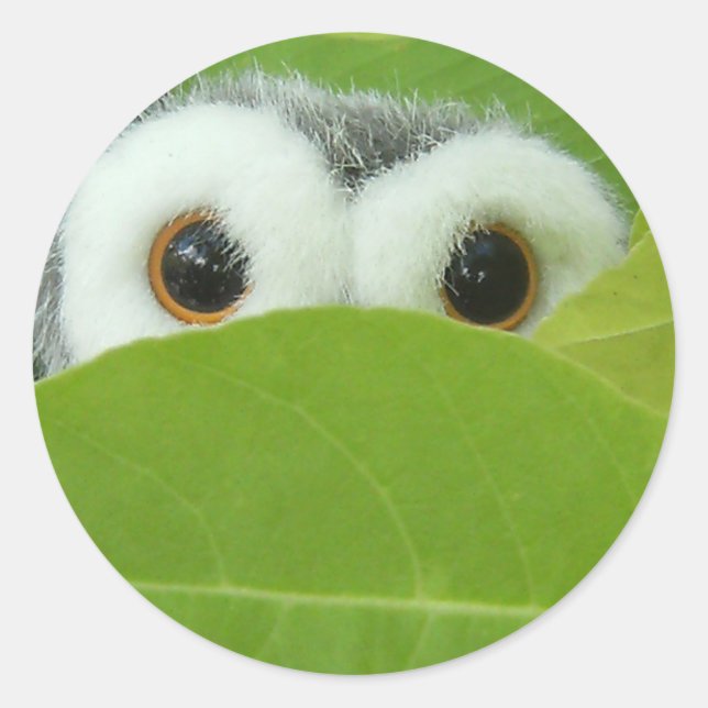 Peek-A-Boo Classic Round Sticker (Front)