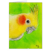 Peek-a-boo Cockatiel (Front)