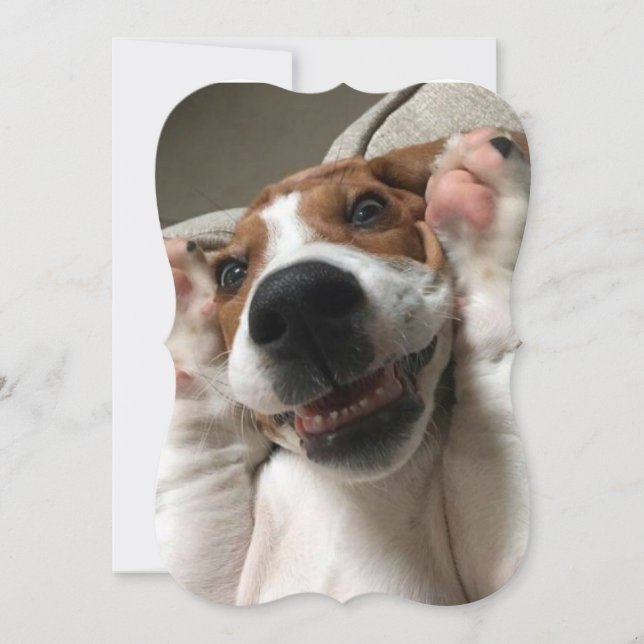 Peek a Boo Dog Note Card (Front)