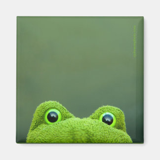 Peek-a-Boo Frog | Square Magnet Design