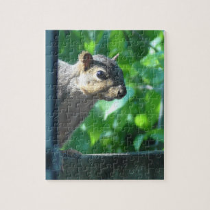 Peek a Boo Funny Squirrel Jigsaw Puzzle