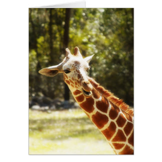 Peek-a-Boo Giraffe Cards