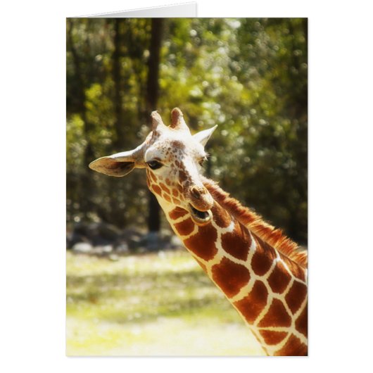 Peek-a-Boo Giraffe Cards (Front)