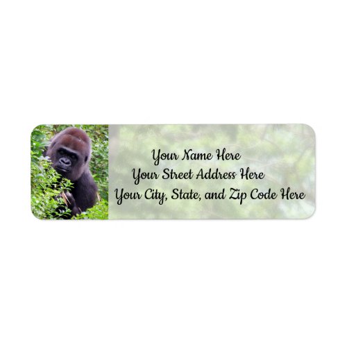 Peek_A_Boo Gorilla Address Labels