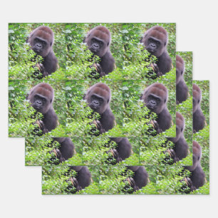 Peek-A-Boo Gorilla All Occasion Wrapping Paper Sheets