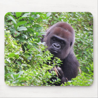 Peek-A-Boo Gorilla Mouse pad