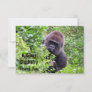 Peek-A-Boo Gorilla - Thank You Cards
