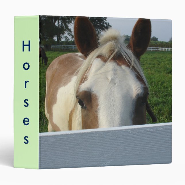 Peek a boo Horse Binder (Front/Spine)