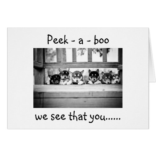 PEEK_A_BOO HUSKY PUPS SAY YOU ARE 5O