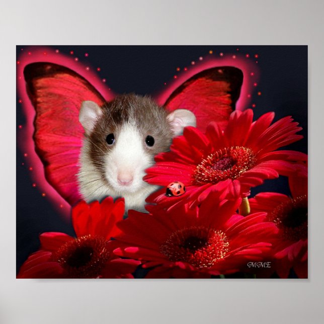 Peek-a-boo, I see you !  Poster (Front)