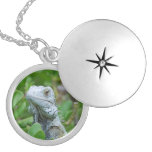 Peek-a-boo Iguana Silver Plated Necklace