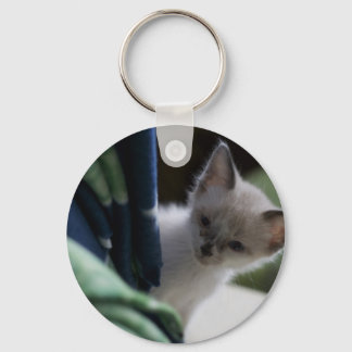Peek-a-Boo Kitten Keychain