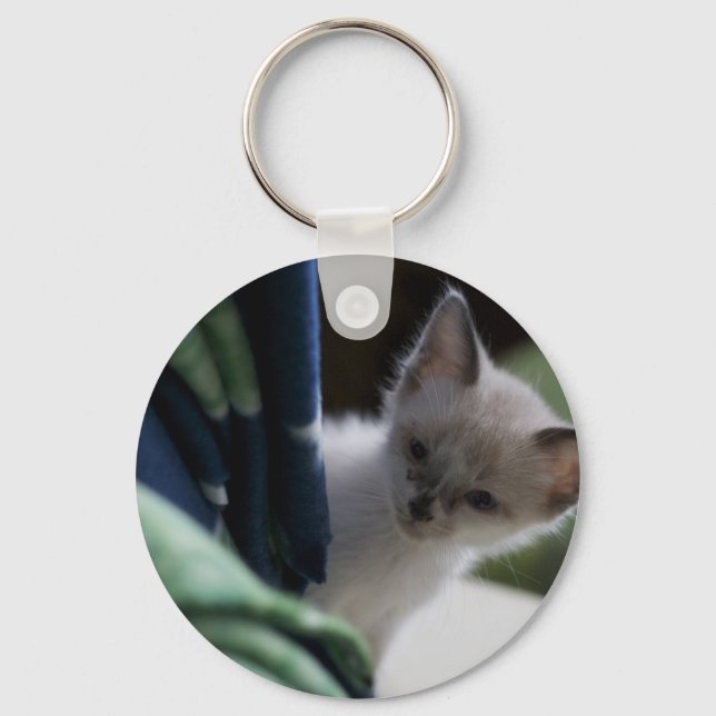 Peek-a-Boo Kitten Keychain (Front)
