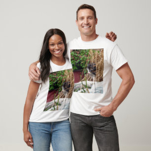 Peek-a-Boo Kitten  T-Shirt