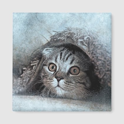 Peek A Boo Kitty Portrait | Abstract | Watercolor Magnet