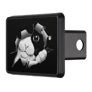 Peek a Boo Kitty Trailer Hitch Cover