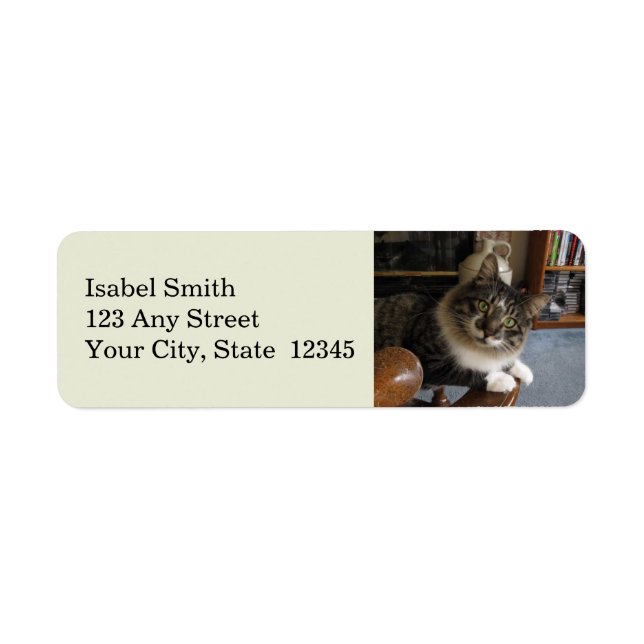 Peek-a-Boo Kitty Zorro Return Address Labels (Front)