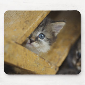 Peek-A-Boo Mouse Pad