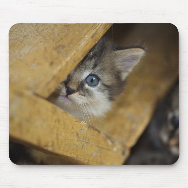 Peek-A-Boo Mouse Pad (Front)