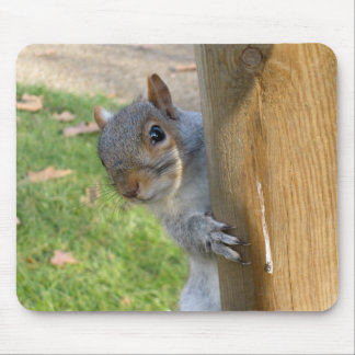 Peek-a-Boo! Mouse Pad