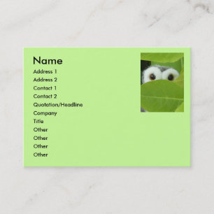 Peek A Boo Owl Business Card