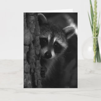 Peek-a-Boo Raccoon Card