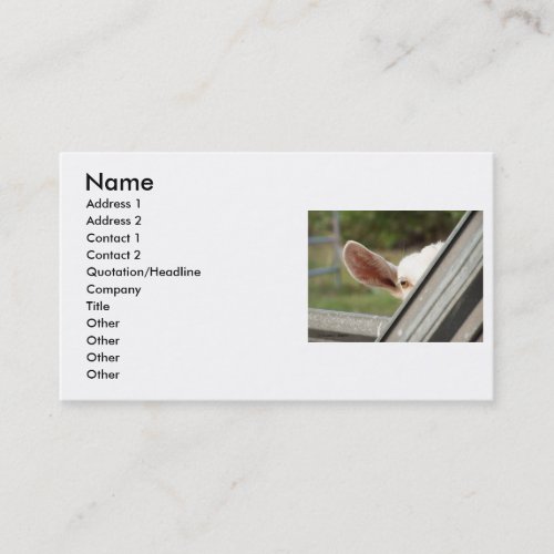 Peek a boo white goat! Cute goat waiting picture Business Card