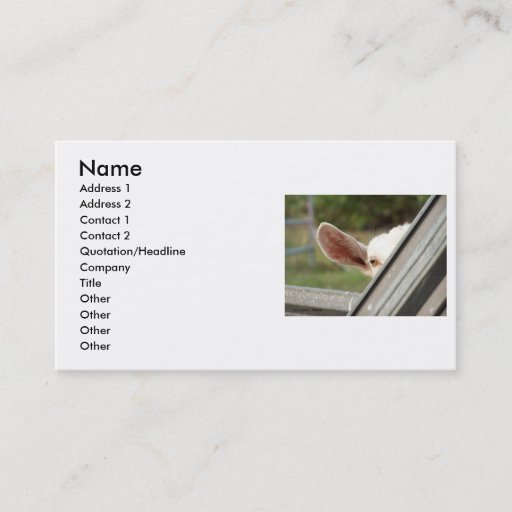 Customizable Peek a boo white goat! Cute goat waiting picture Business Card