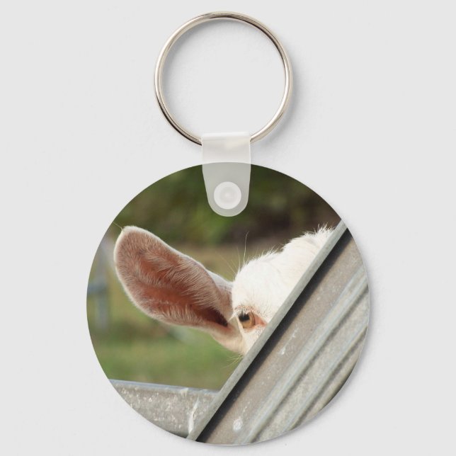 Peek a boo white goat! Cute goat waiting picture Keychain (Front)