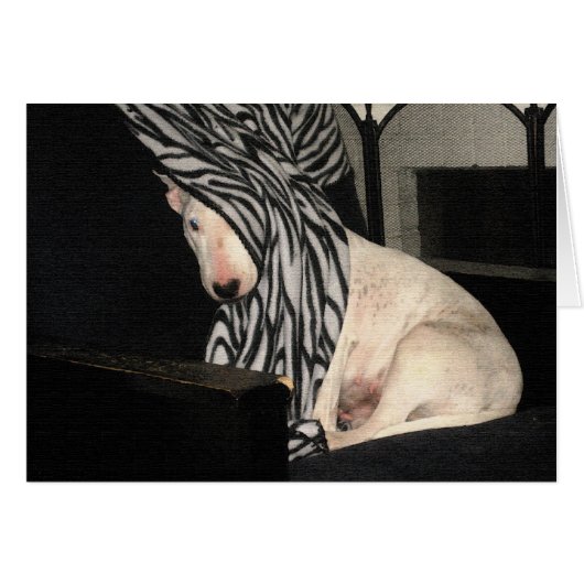 Peek-a-Bully (Front Horizontal)