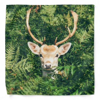 Peek a Deer Bandana
