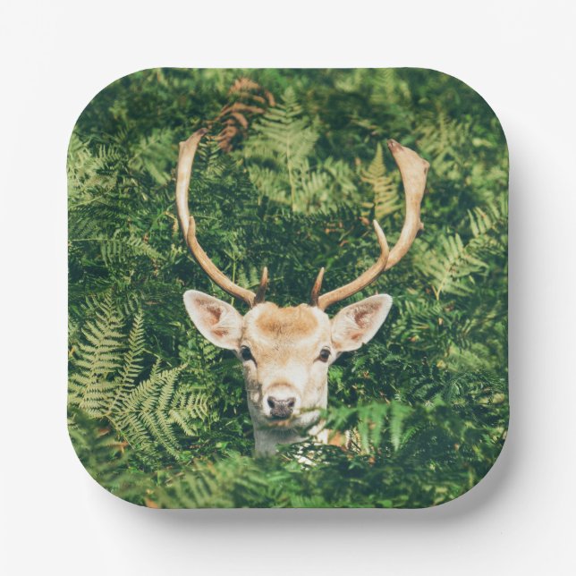Peek a Deer  Paper Plates (Front)