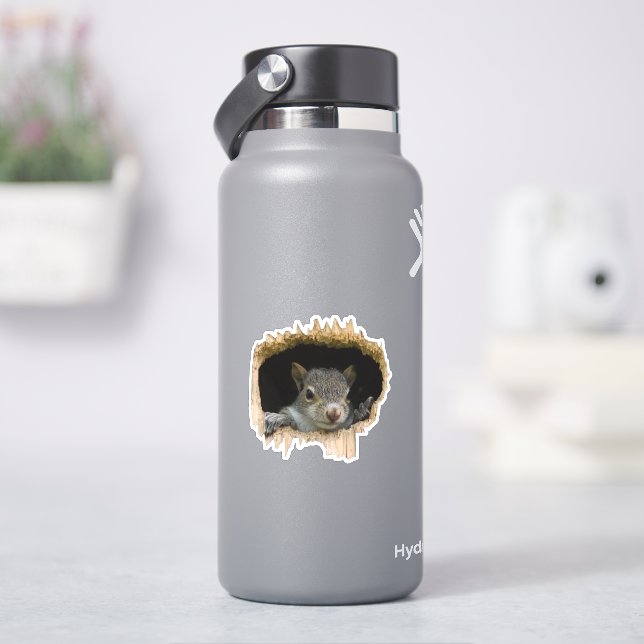 Peek. - Grey Squirrel Sticker (HydroFlask)