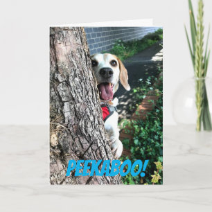 PEEKABOO CARD