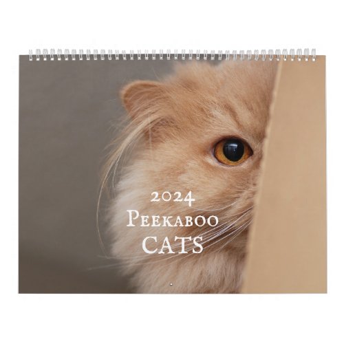 Peekaboo Cat Calendar