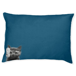 Peekaboo cat in mask pet bed
