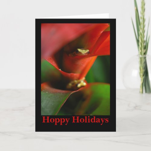 Peekaboo Holiday Card