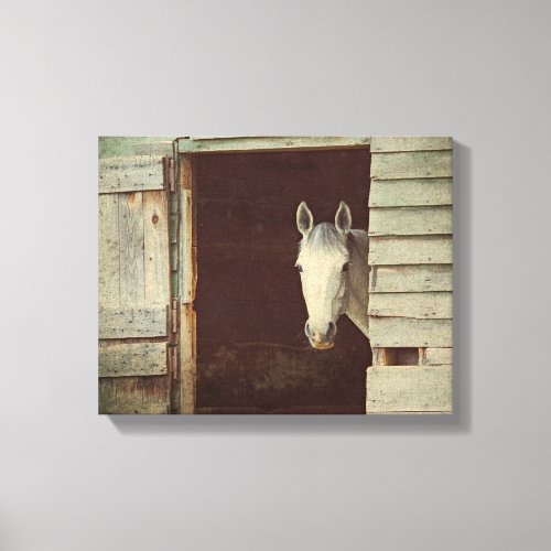Peekaboo HORSE  Barn Animals Wrapped Canvas