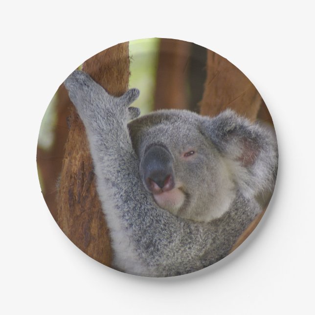 Peekaboo Koala Plate (Front)