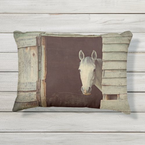 Peekaboo Mare Horse Rustic Farm  Outdoor Pillow