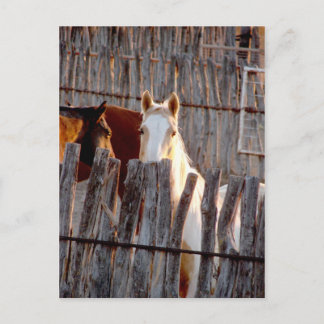 Peekaboo Paint Postcard