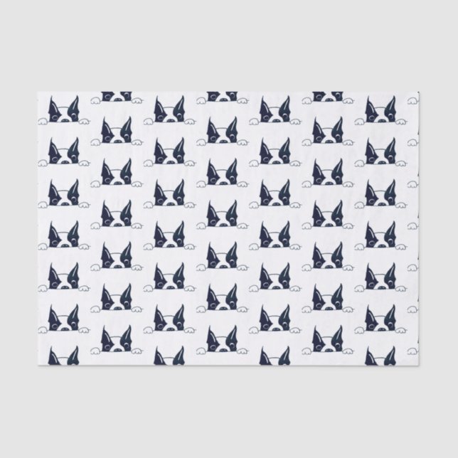 Peekaboo Tissue Paper (Front)