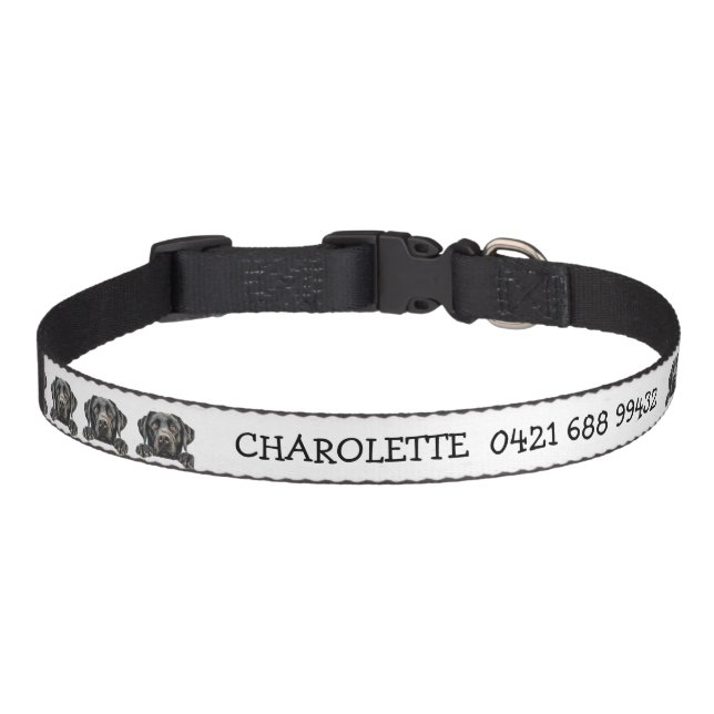 Peeking Black Labrador Personalized Pet Collar (Front)